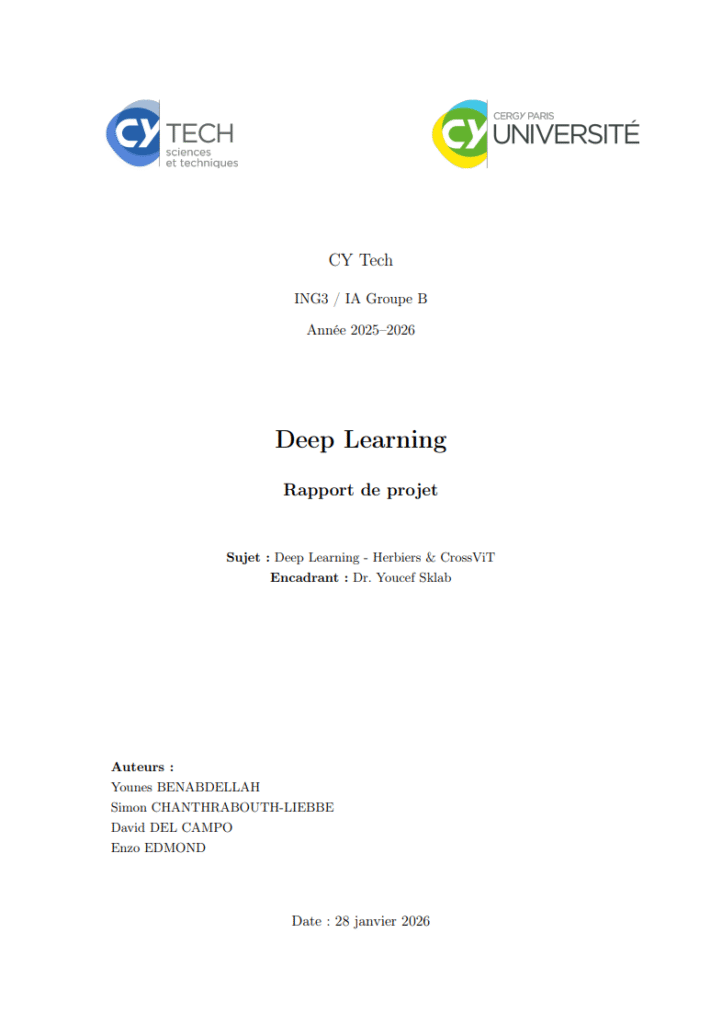 Rapport Deep Learning Rapport Deep Learning