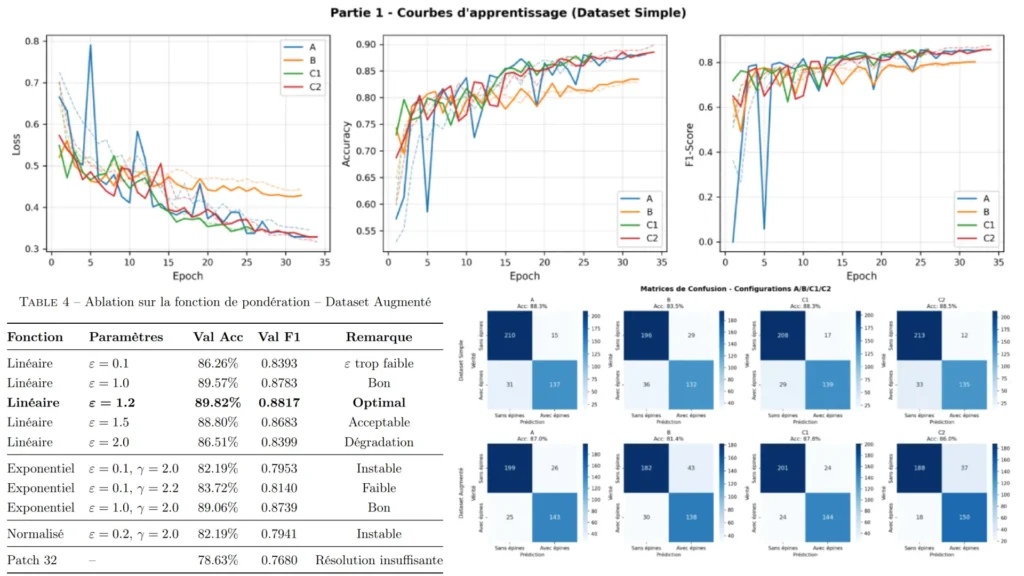 Arrière plan Deep Learning CrossViT